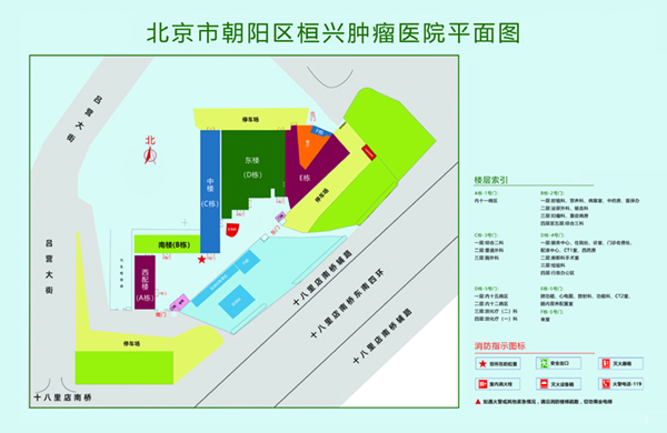 樱花动漫网官网在线看北京市朝阳区桓兴肿瘤医院平面图